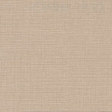 Specify Chad CFY-4243