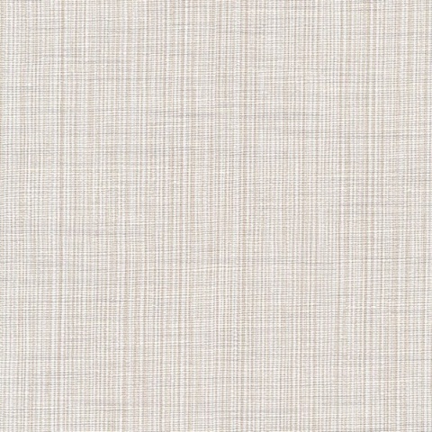 Specify Dalyan CFY-4239