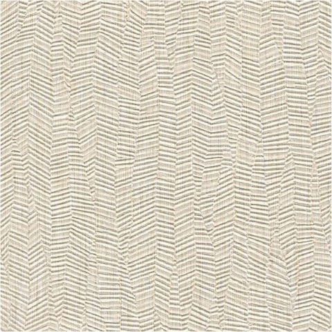 Specify Esca CFY-4251