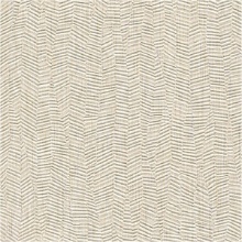 Specify Esca CFY-4251