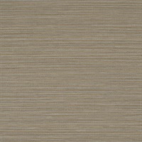 Spectra Brindle Wall Protection