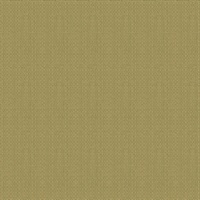 Spirograph Aloe Vera Green