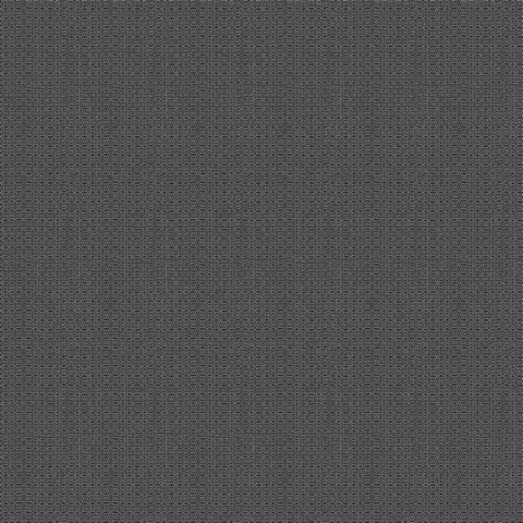 Spirograph Black Lattice