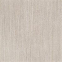 Status Texture Golden Taupe