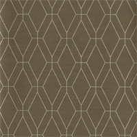 Steam Trunk Fog Transit