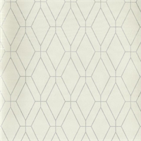 Steam Trunk Optic White