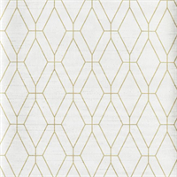 Steam Trunk Pearl Trax