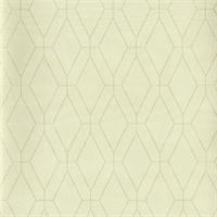 Steam Trunk Sun Deck