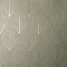 Stella Nova Burnished