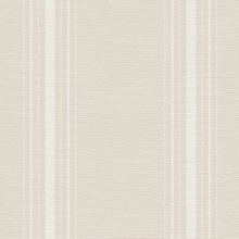 Stitched Stripe Lace