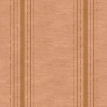 Stitched Stripe Persimmon