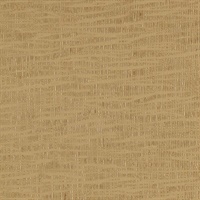 Striations Desert Dunes