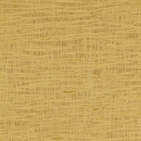 Striations Golden Channel