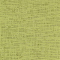 Striations Willow Creek