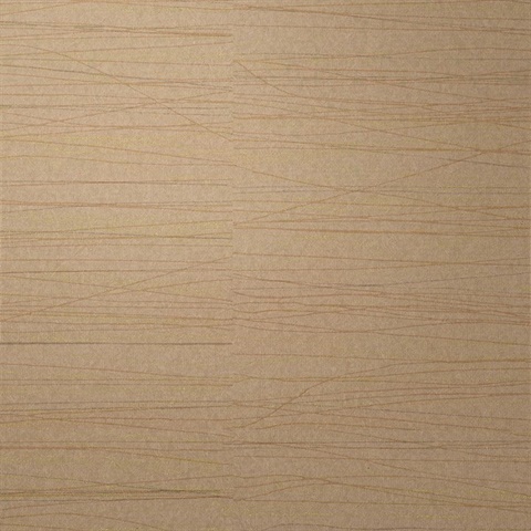 Strings Banjo Beige Modern Horizontal Lines