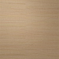 Strings Banjo Beige Modern Horizontal Lines