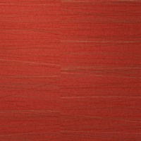 Strings Red Violin Modern Horizontal Lines