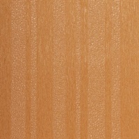 Structured Stripe Phoenix