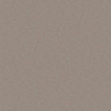 Stucco / Plaster Stucco 1