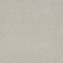 Stucco / Plaster Stucco 1