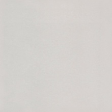 Stucco / Plaster Stucco 2