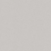 Stucco / Plaster Stucco 2