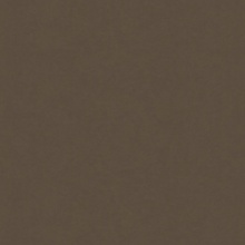 Stucco / Plaster Stucco 2