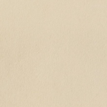 Stucco / Plaster Stucco 3