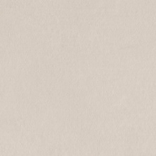 Stucco / Plaster Stucco 3