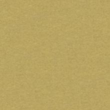 Tac-Wall 48" Citrine