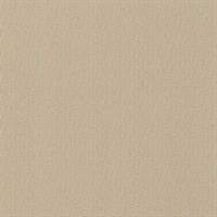 Tandem Crystal Shore