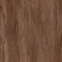 Tanglewood Walnut