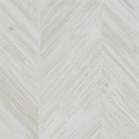 Tempera Creme Brulee