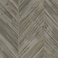 Tempera Toasted Almond