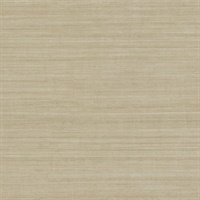 Tensile Silk Sun Deck