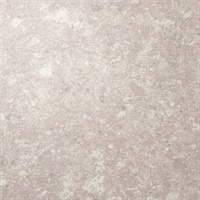 Terrazzo Tap Silver Limestone Stone