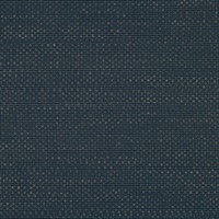 Threads Blues Traveler