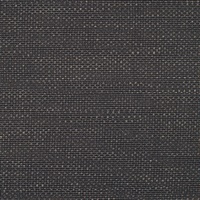 Threads Midnight Train