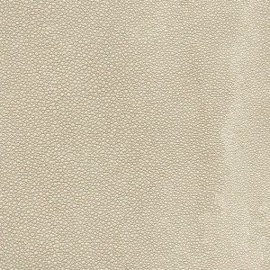 Tiburon Shagreen Beach