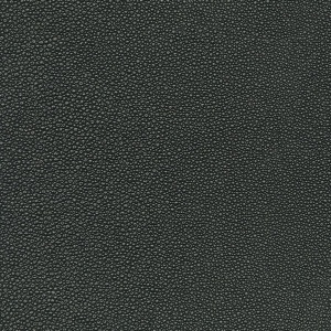 Tiburon Shagreen Cosmos