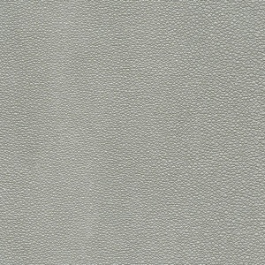 Tiburon Shagreen Mercury