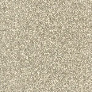 Tiburon Shagreen Silverplate