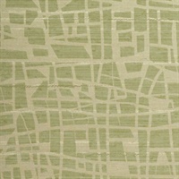 Tiffany Green Tamborine