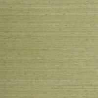 Tiffany Silk Green Tamborine