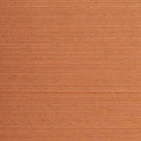 Tiffany Silk Orange Silk