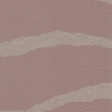 Tiger Streak Tigress