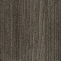 Timberline II Charred