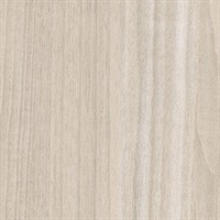 Timberline II Driftwood