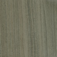 Timberline II Sagebrush