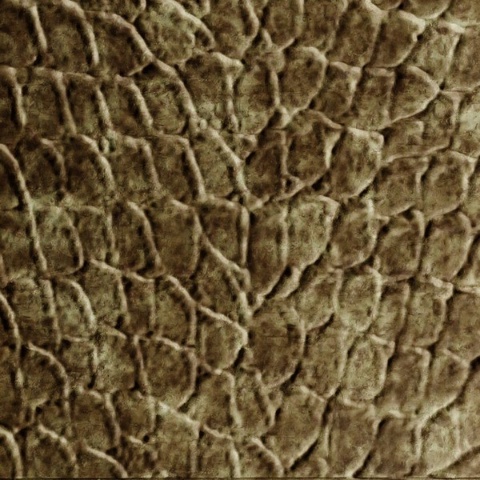 Tortoise Dimension Wall Aged Bronze